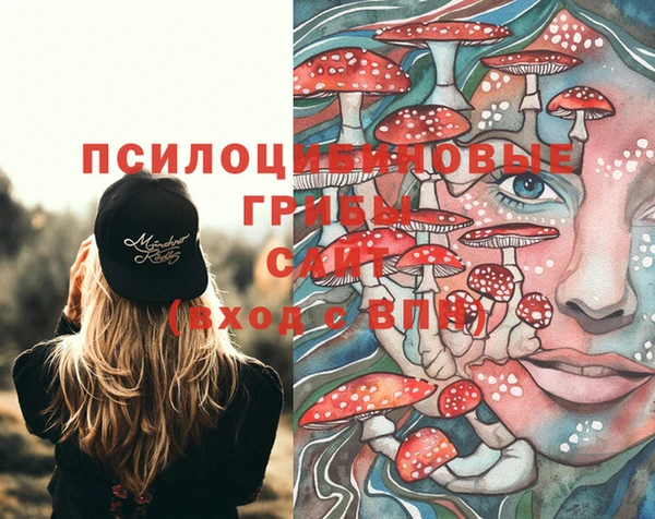 стаф Гусиноозёрск