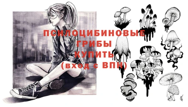 ALPHA-PVP Гусь-Хрустальный