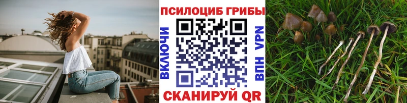 Галлюциногенные грибы ЛСД Великий Новгород