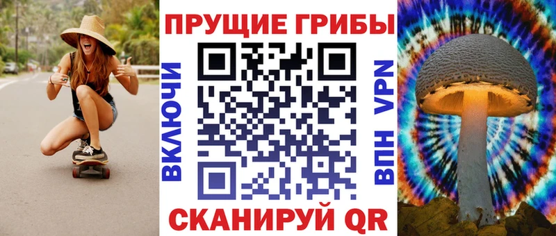 Галлюциногенные грибы Cubensis  закладка  Великий Новгород 